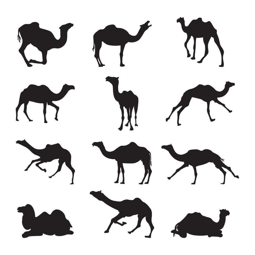 Set camel silhouette vector illustration.