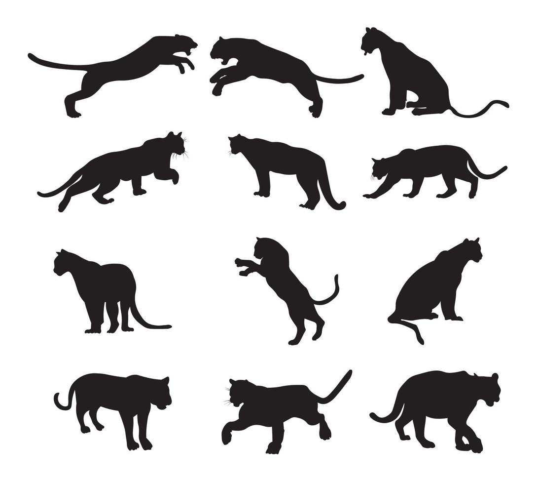 Set puma silhouette vector illustration.