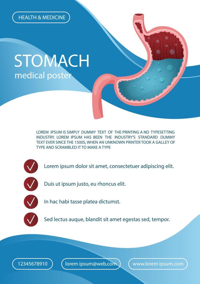 Medical poster template with human stomach for catalog, leaflet, flyer, brochure, Vector illustration, cartoon style