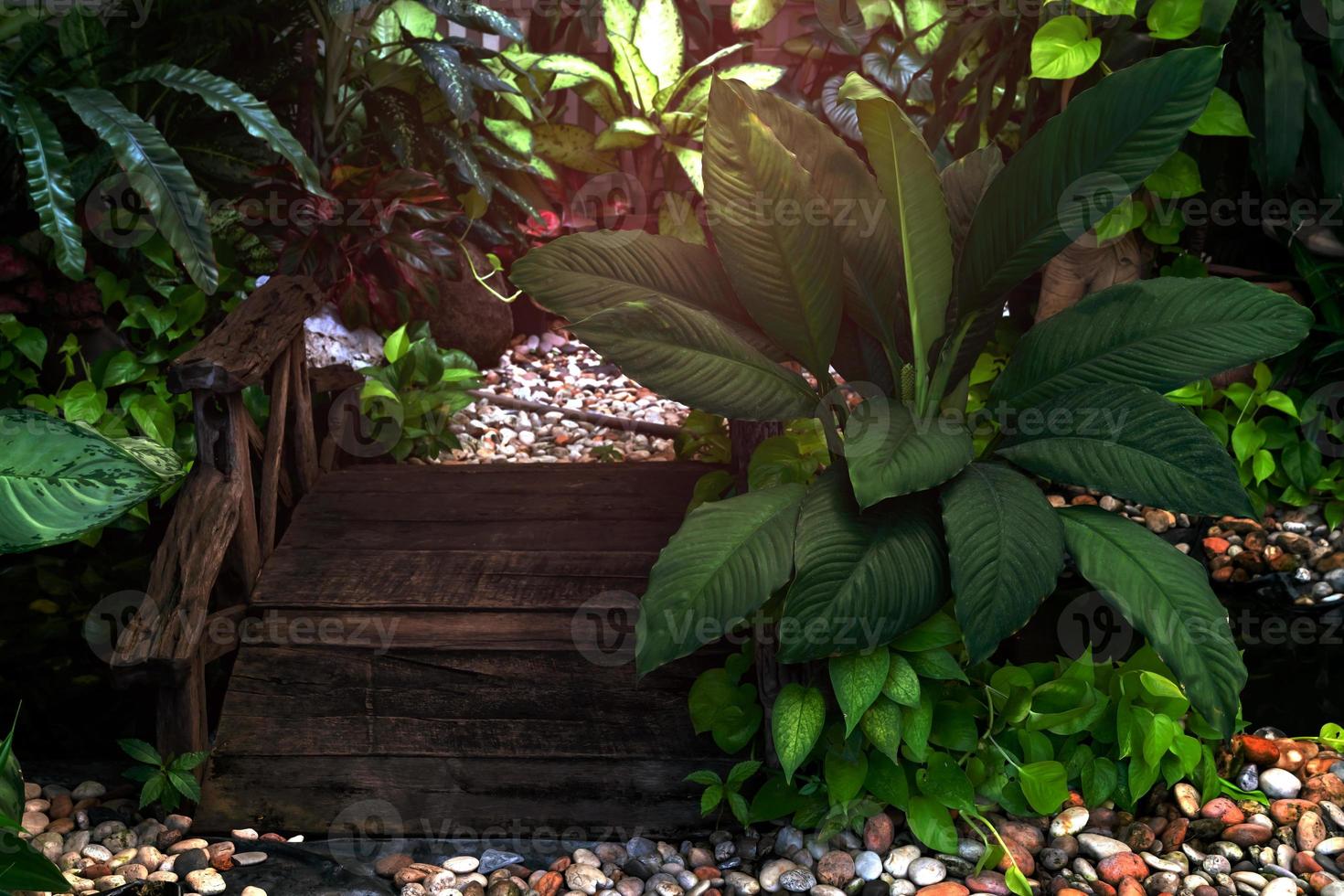 green leaves pattern in garden,leaf exotic tropical photo