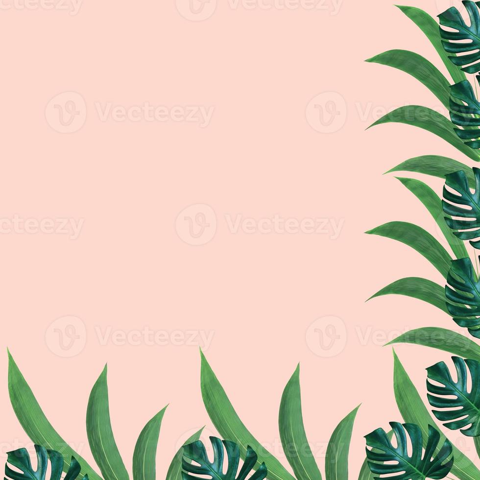 Green monstera and bamboo leaves pattern for nature concept,tropical leaf on pink background photo