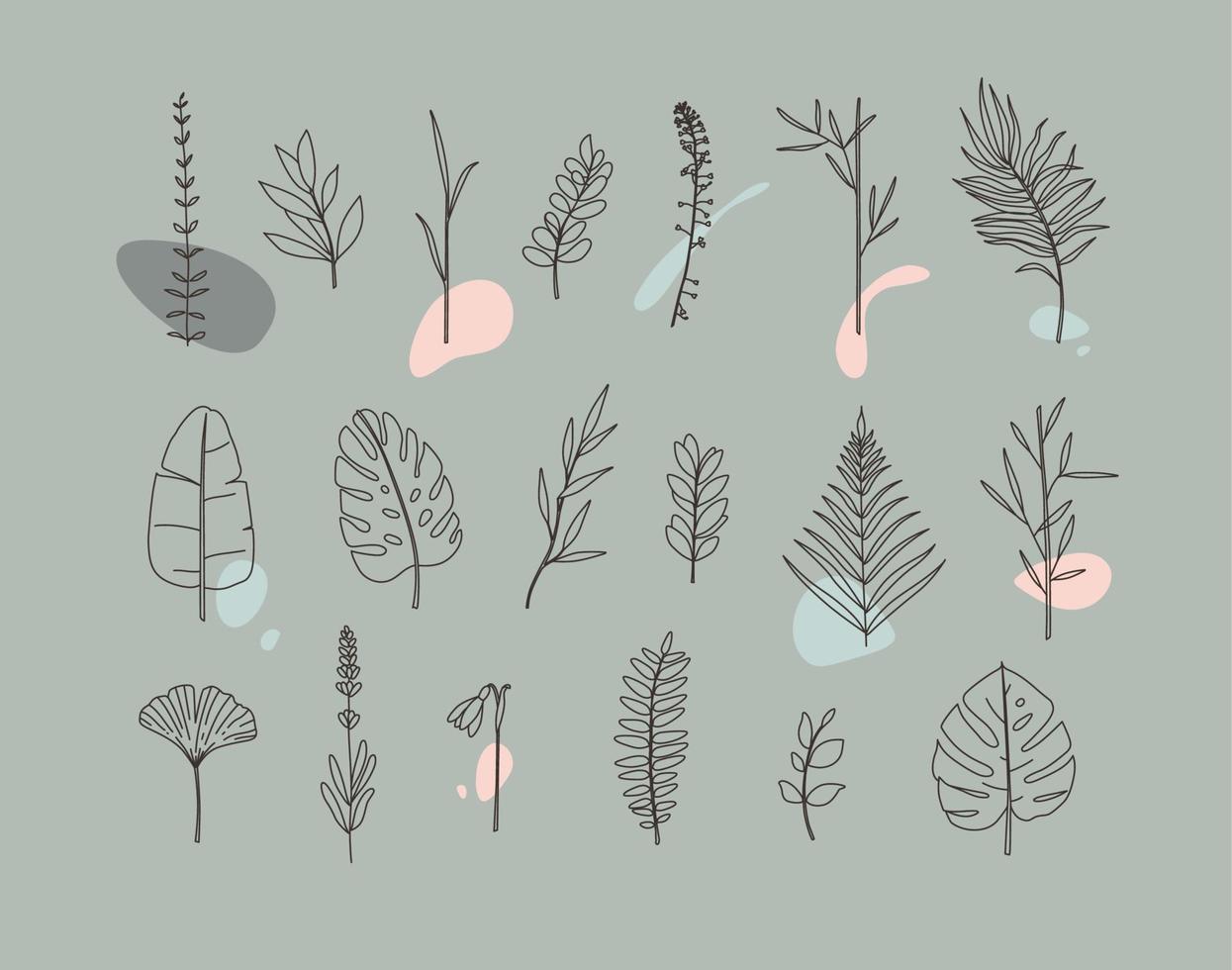 Set of different forms leaves in minimalism flat style on grey background vector