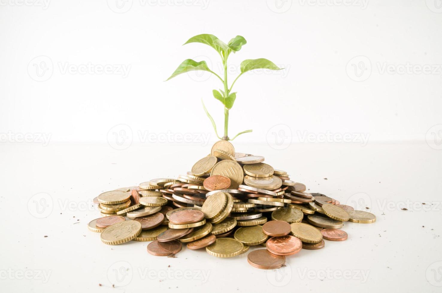 Concept of investment, financial growth photo