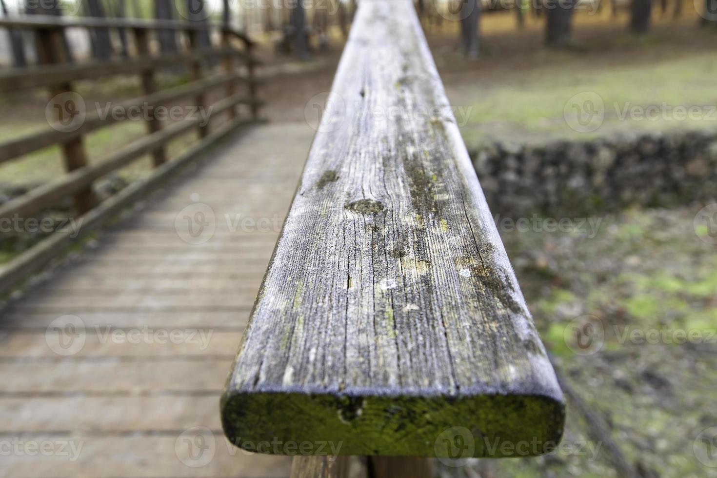 madera con invierno hielo foto