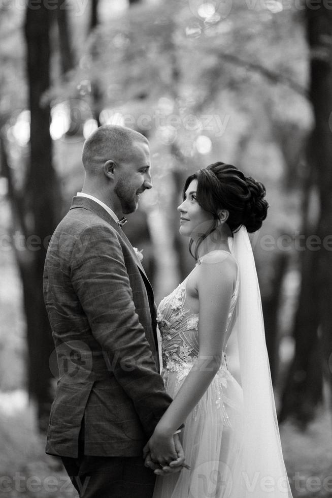 Boda caminar de el novia y novio en el caduco bosque en verano foto