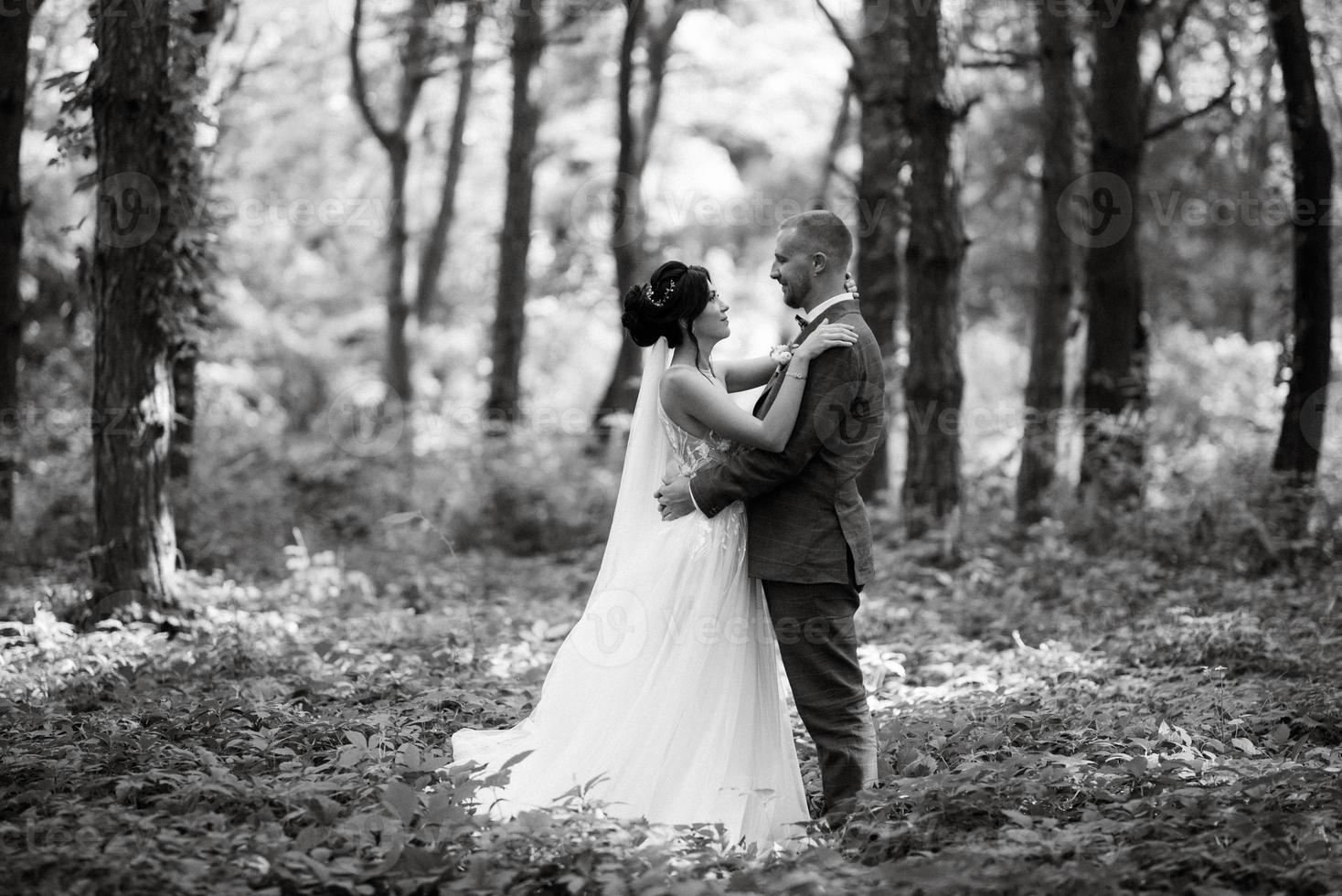 wedding walk of the bride and groom in the deciduous forest in summer photo