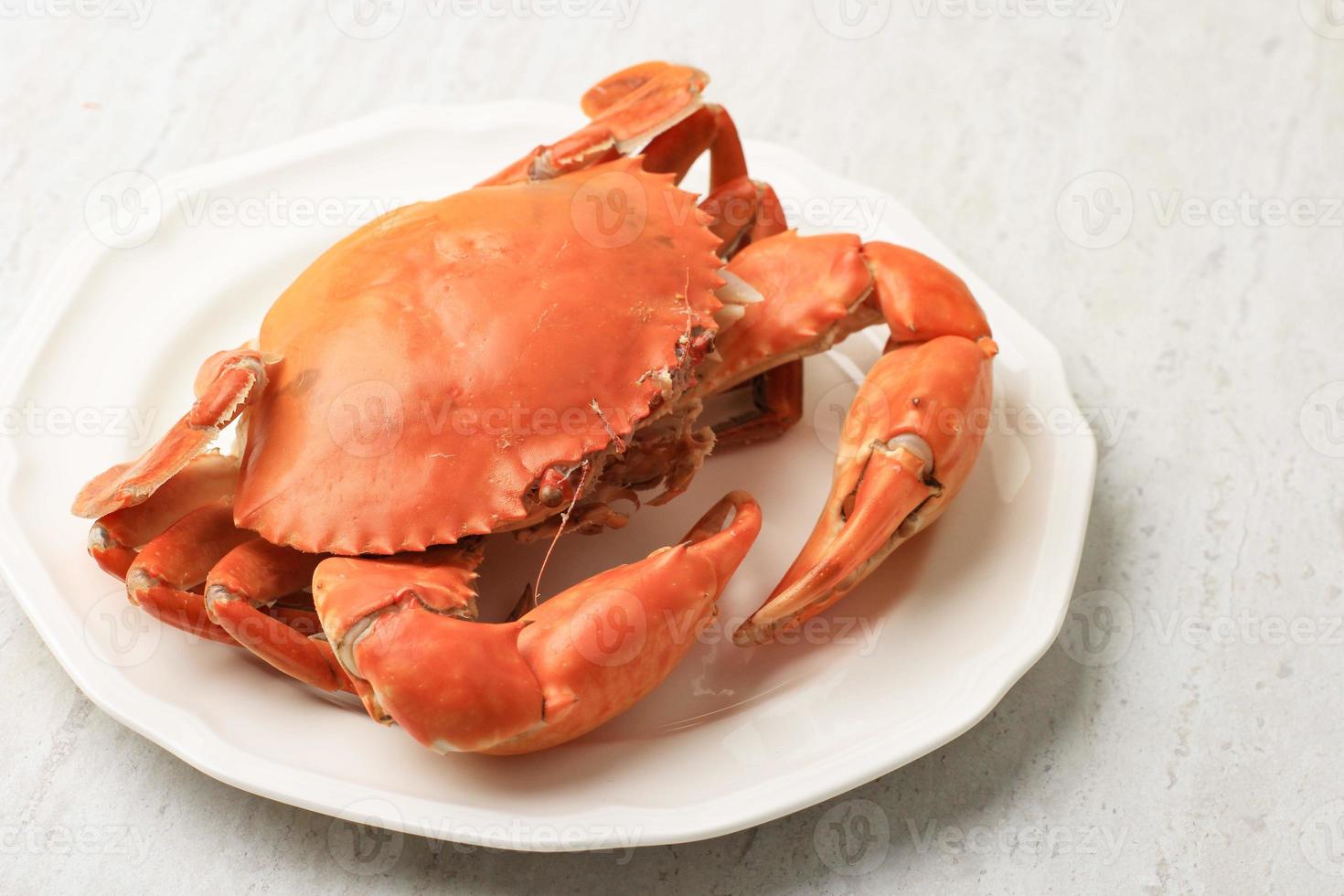 Boiled Red Crab on WHite Plate photo