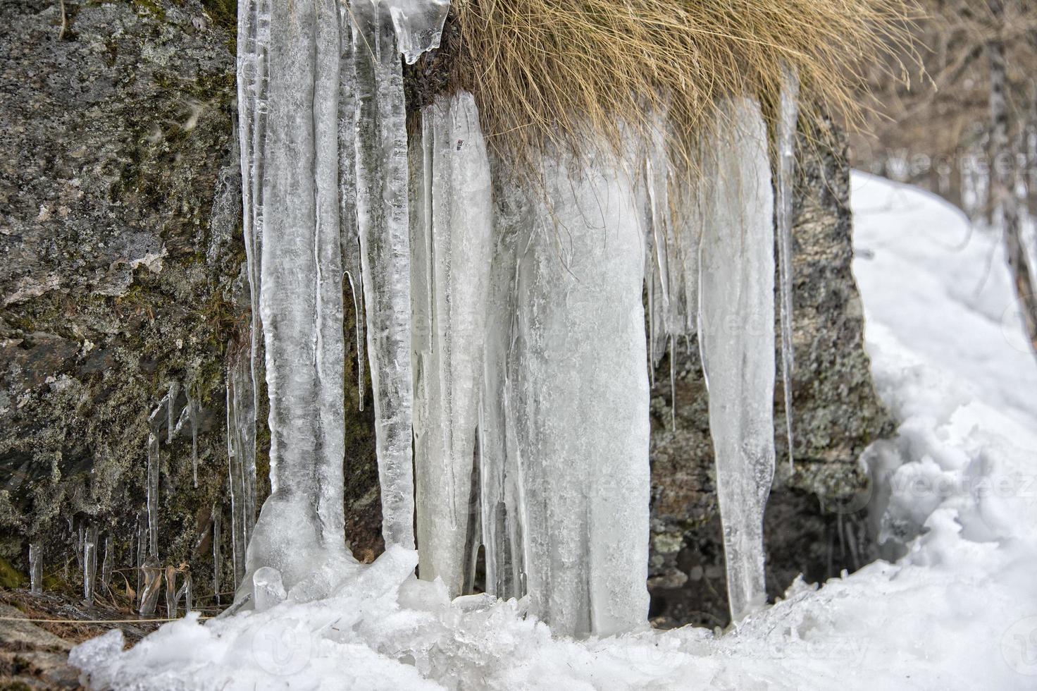 icicles detail in snow winter time photo