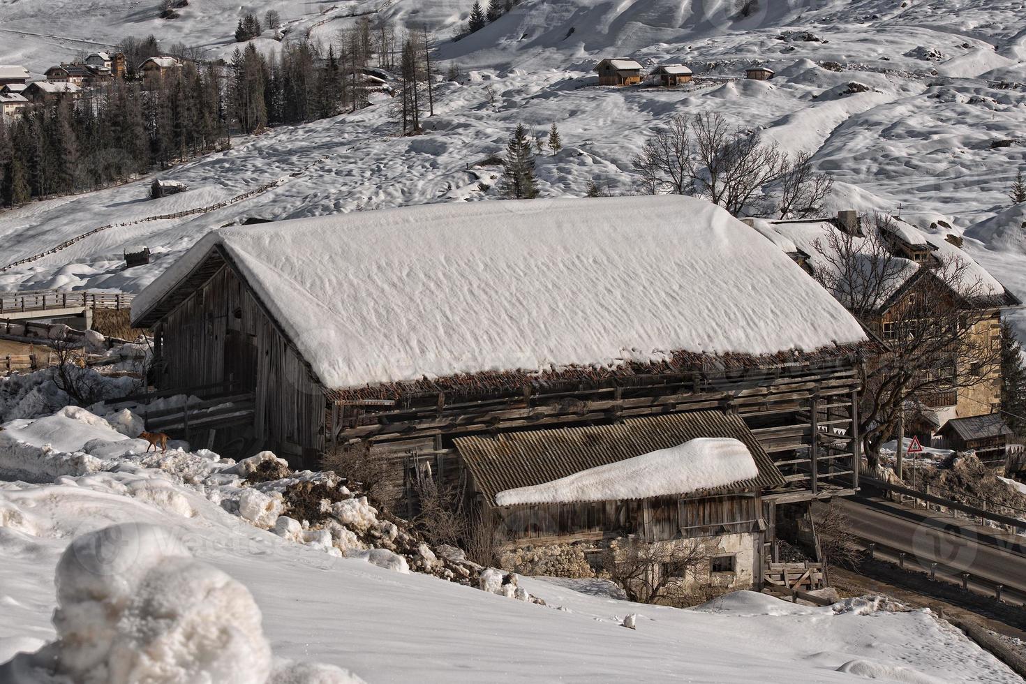 Dolomites hut cabin in winter snow time photo