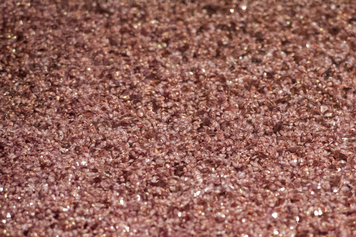 krill macro detail at night photo