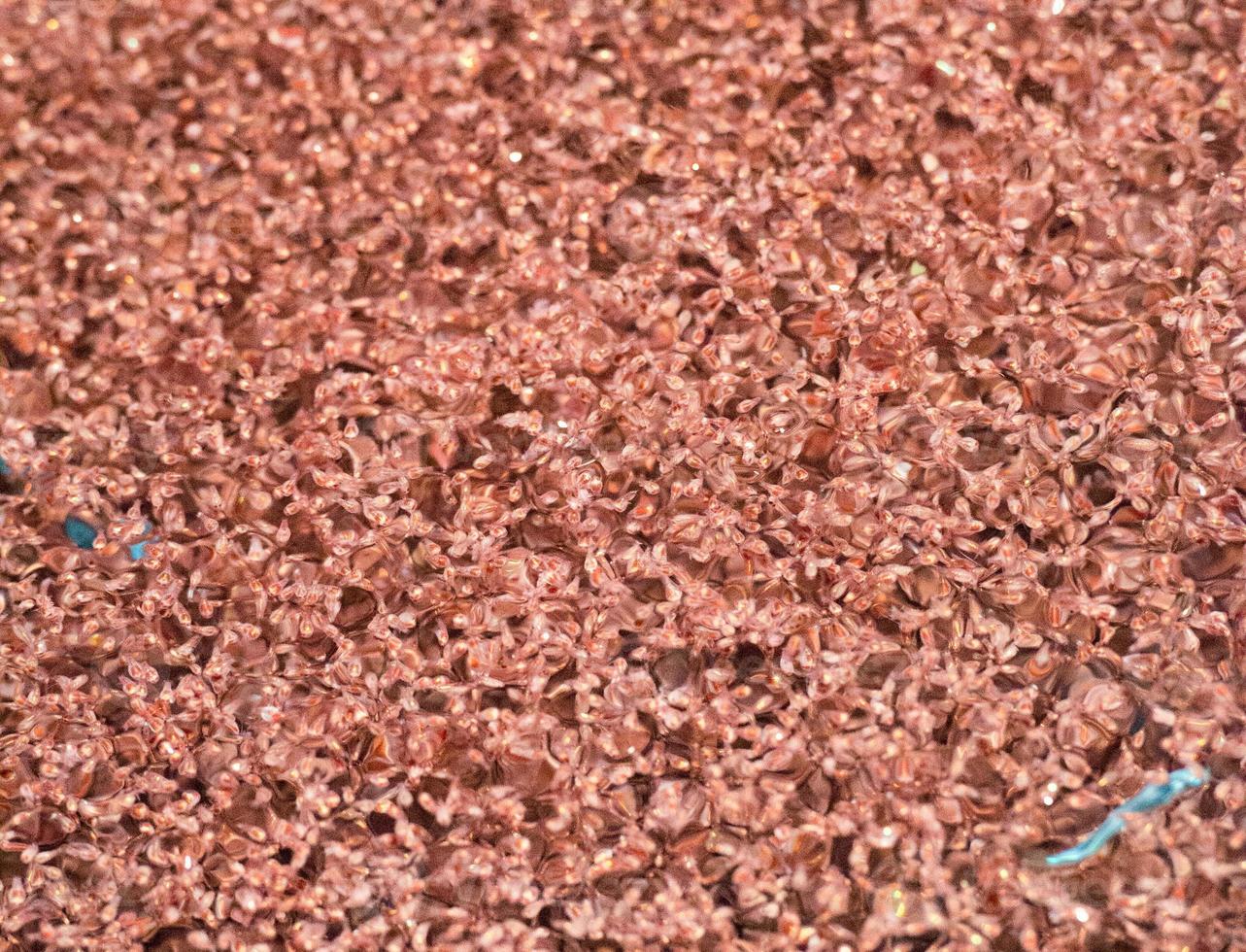 krill macro detail at night photo