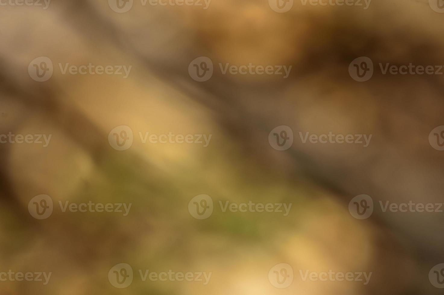 natural abstract soft background photo