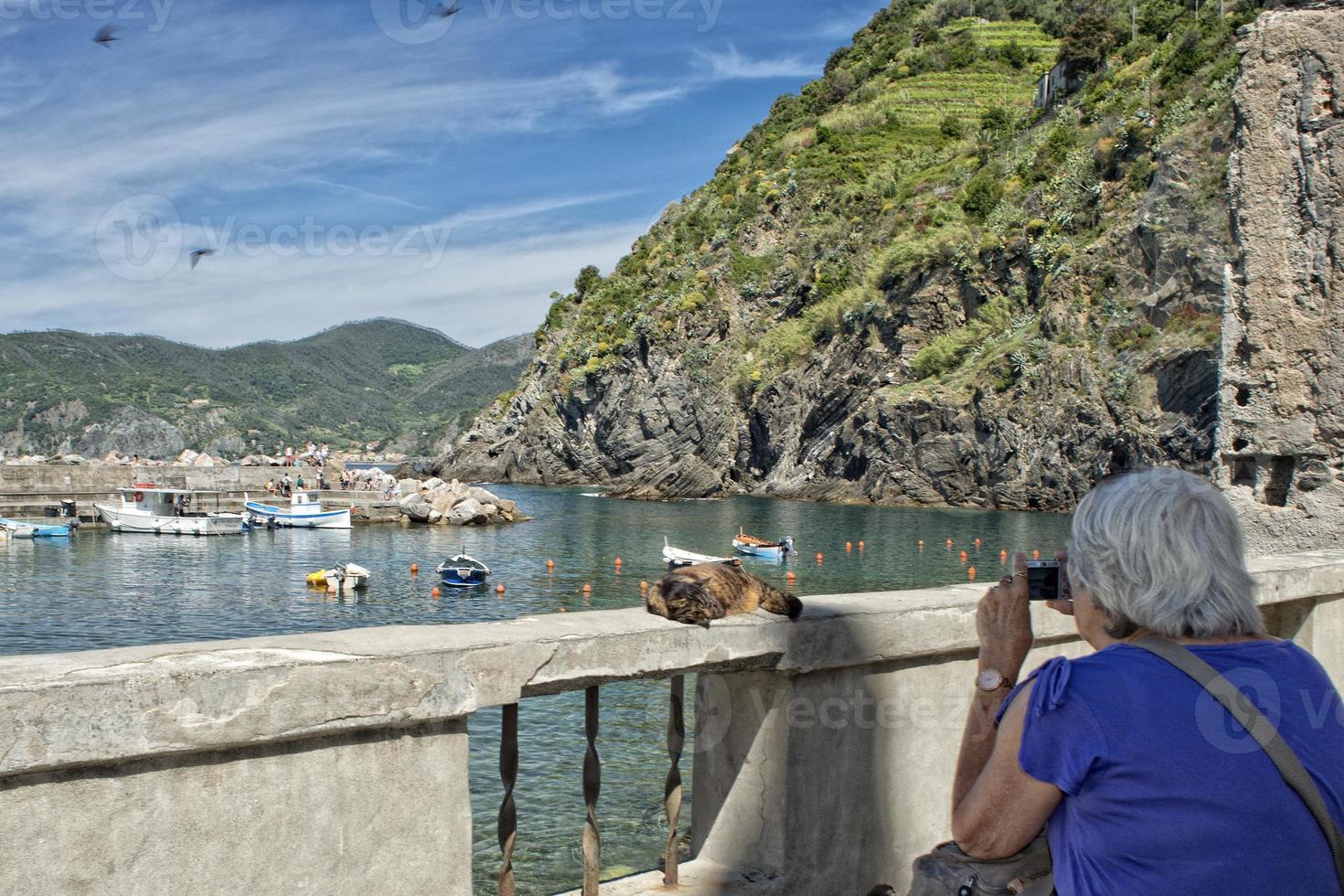 Cat while resting in Vernazza harbor photo