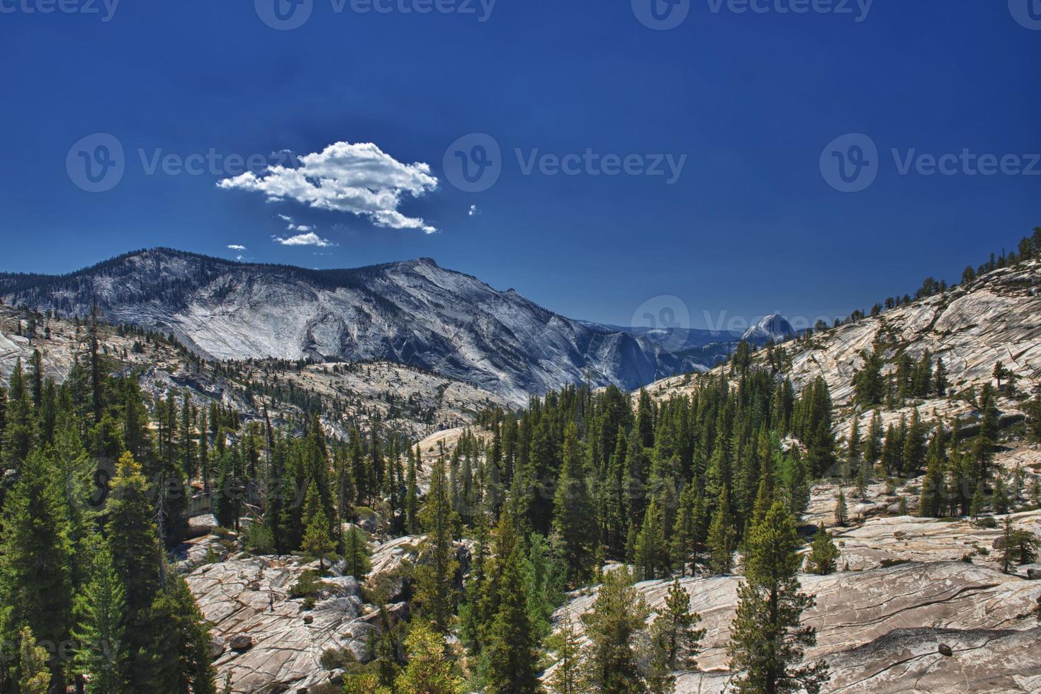 Yosemite Valley beautiful sunny view photo