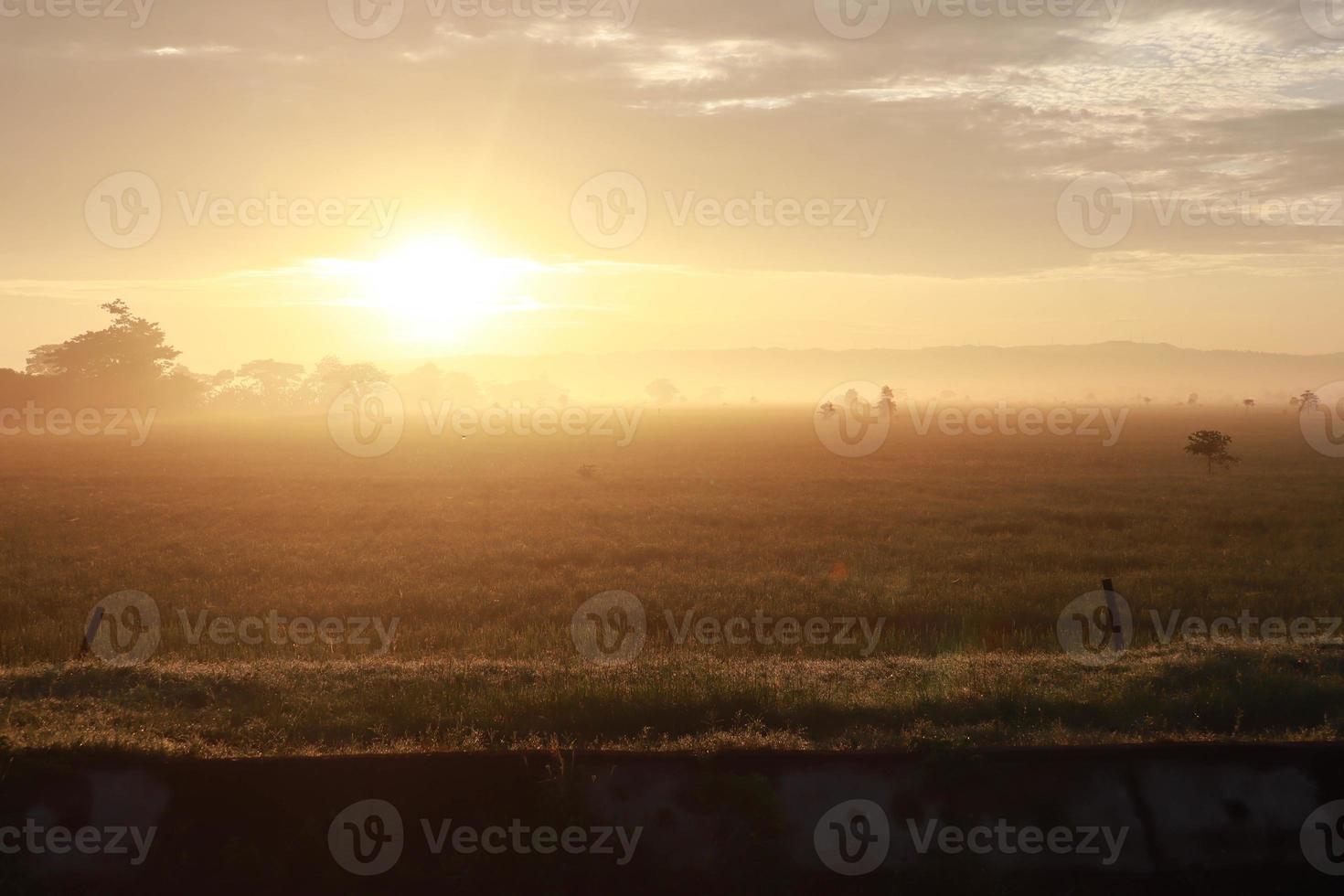 A Serene Rural Landscape of Farms photo