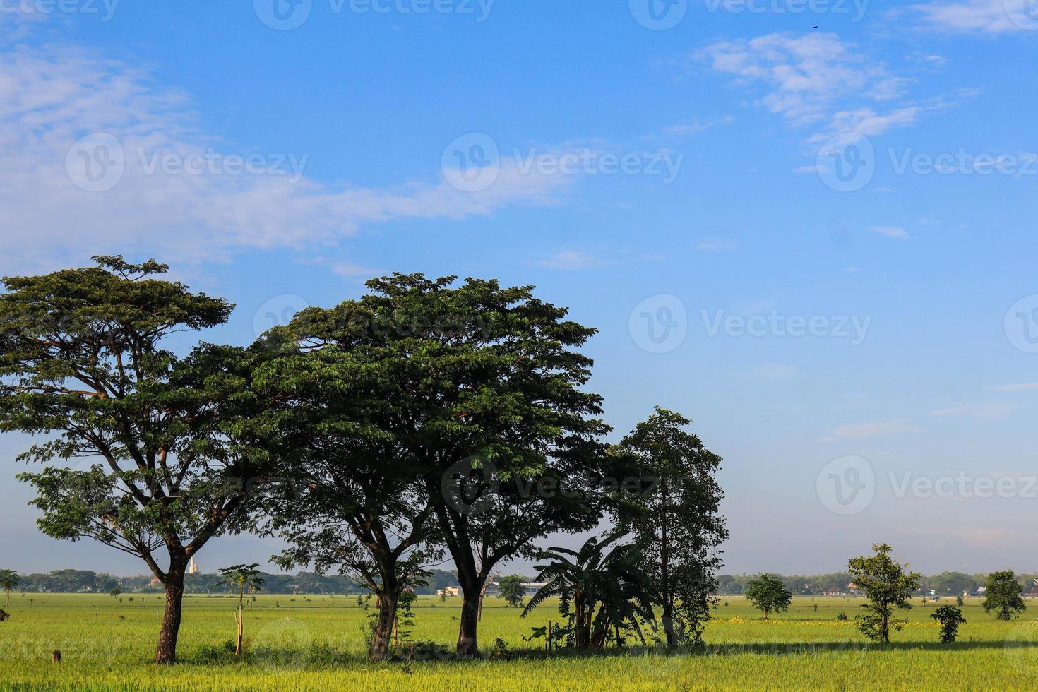 A Serene Rural Landscape of Farms photo