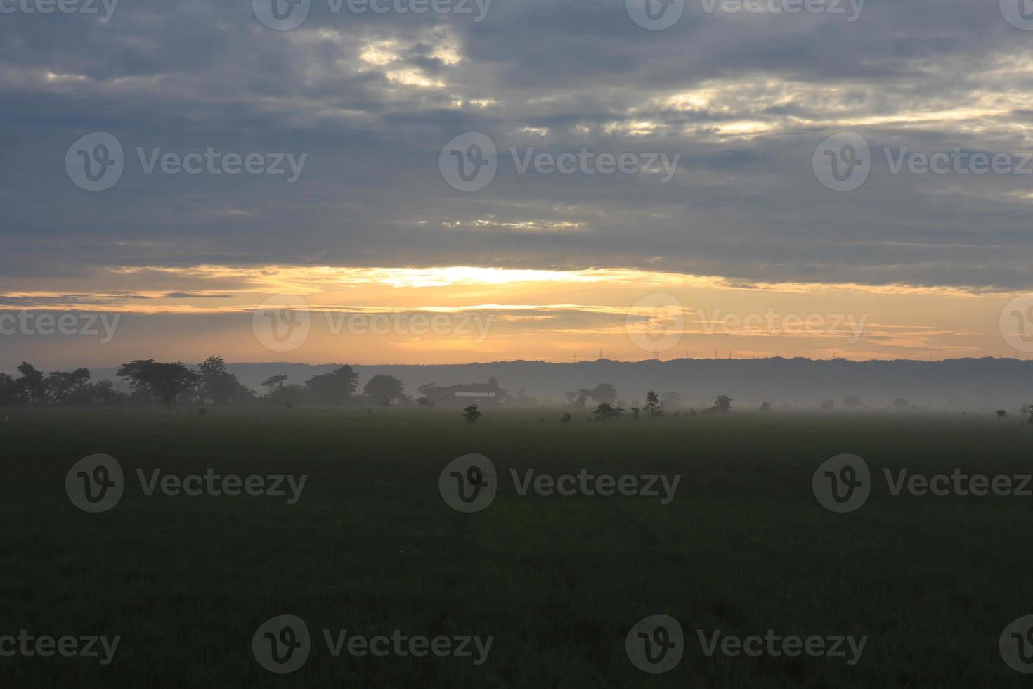 A Serene Rural Landscape of Farms photo