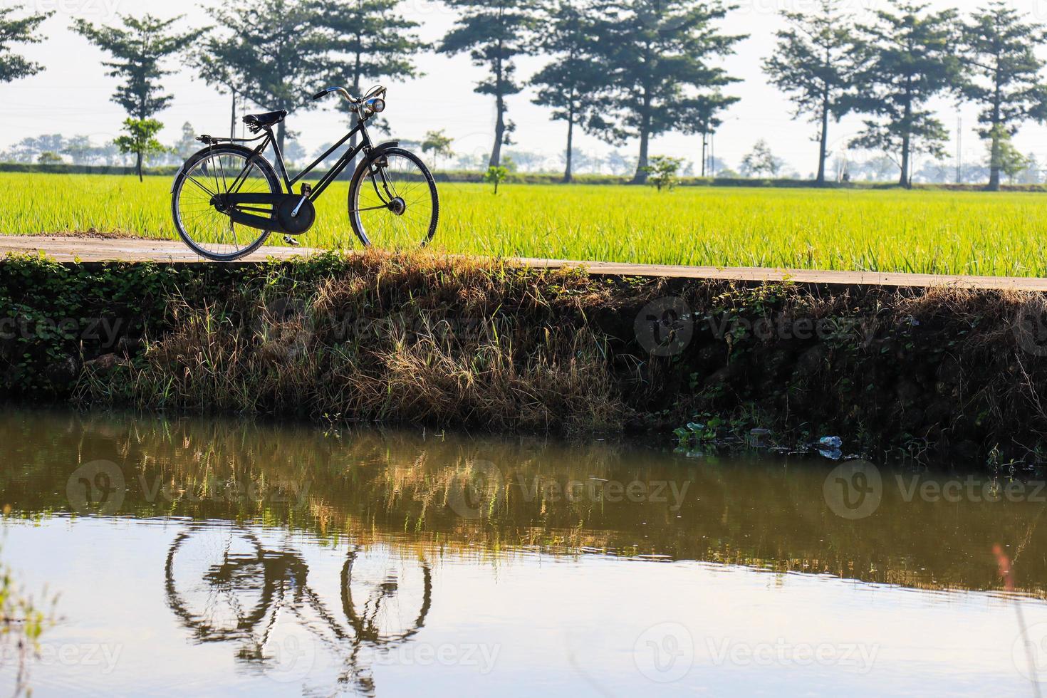 old bicycle with rice fields in the background. photo