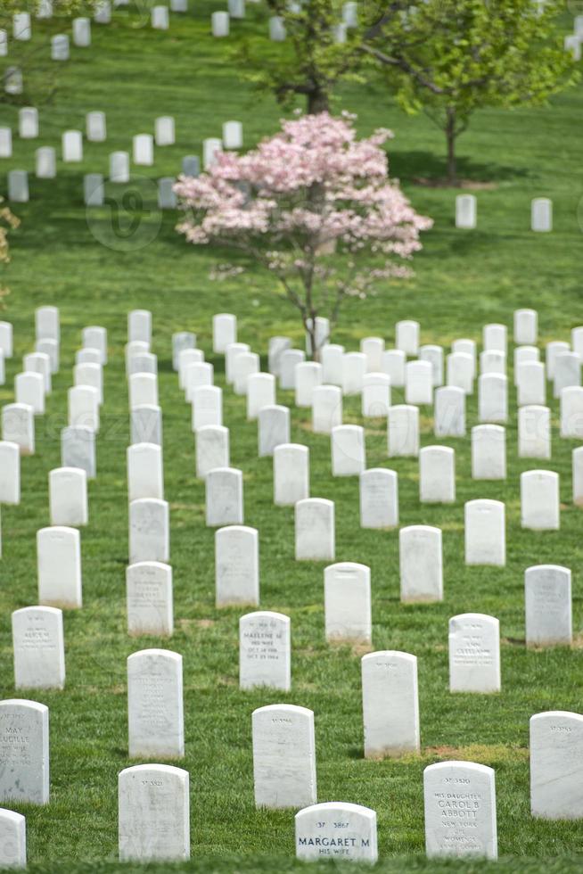 arlington cemetery graveyard photo