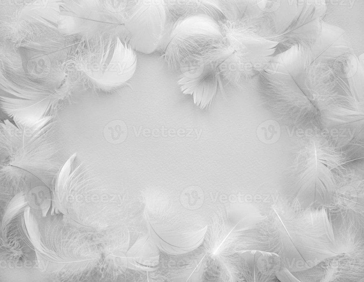 White fluffy bird feathers. Beautiful fog. Message to the angel. Texture of delicate feathers. soft focus, copy space photo