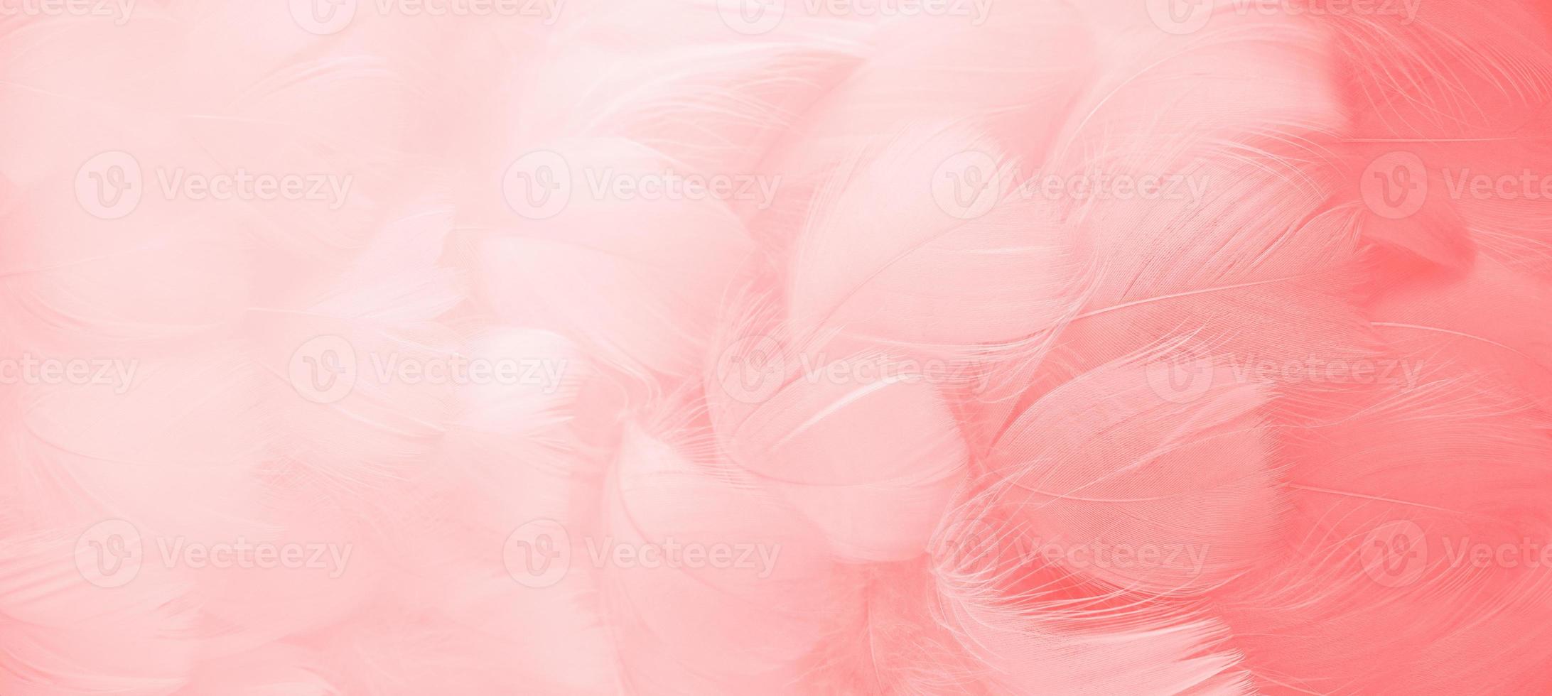 Pink fluffy bird feathers. Beautiful fog. A message to the angel. Banner. The texture of delicate feathers. soft focus photo