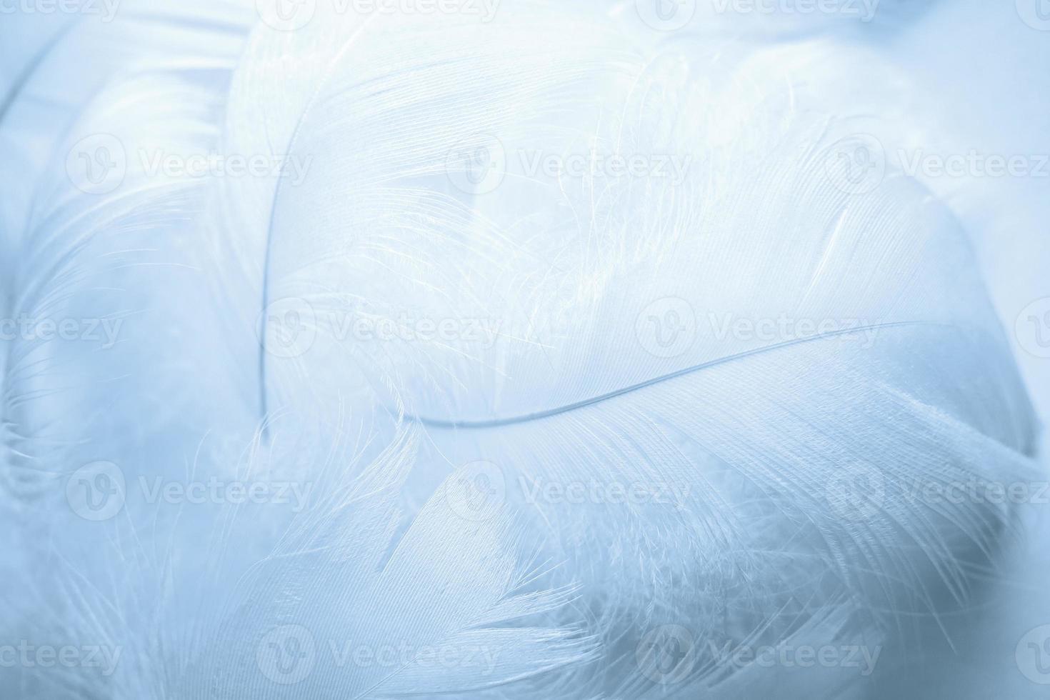 Blue fluffy bird feathers. Beautiful fog. A message to the angel. The texture of delicate feathers soft focus photo