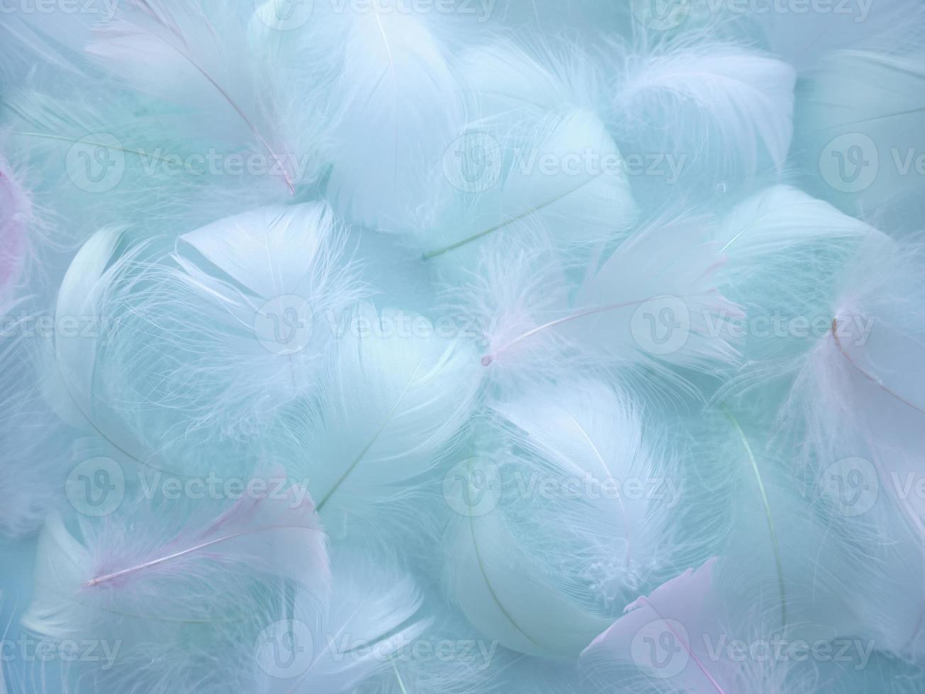 Abstract blurred background in pastel color. The delicate fluffy texture of a bird's feather. Soft focus Artistic design photo