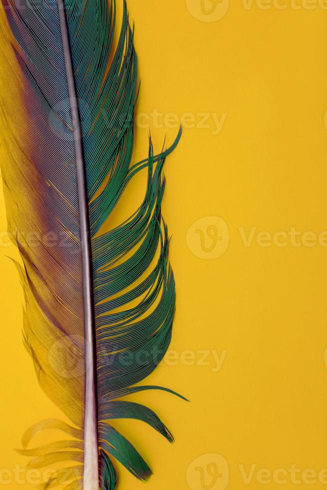 Colorful parrot feather close-up. Macro texture, background of fashionable color Fortuna Gold photo