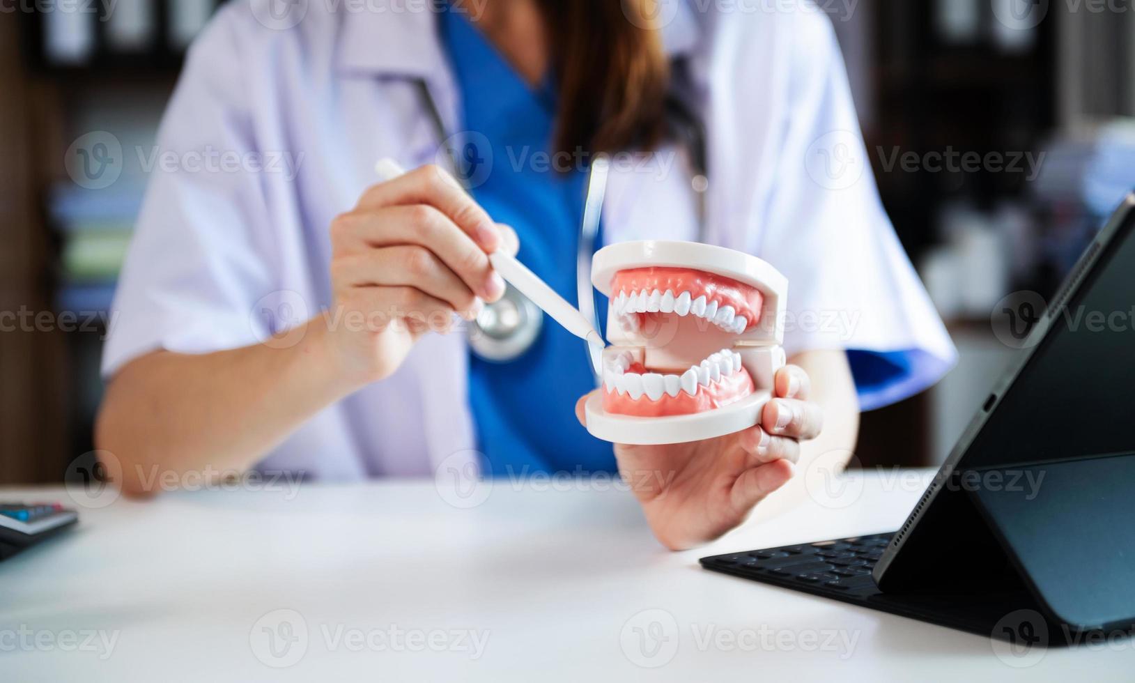 Concentrated dentist sitting at table with jaw samples tooth model and working with tablet and laptop in dental office professional dental clinic. photo