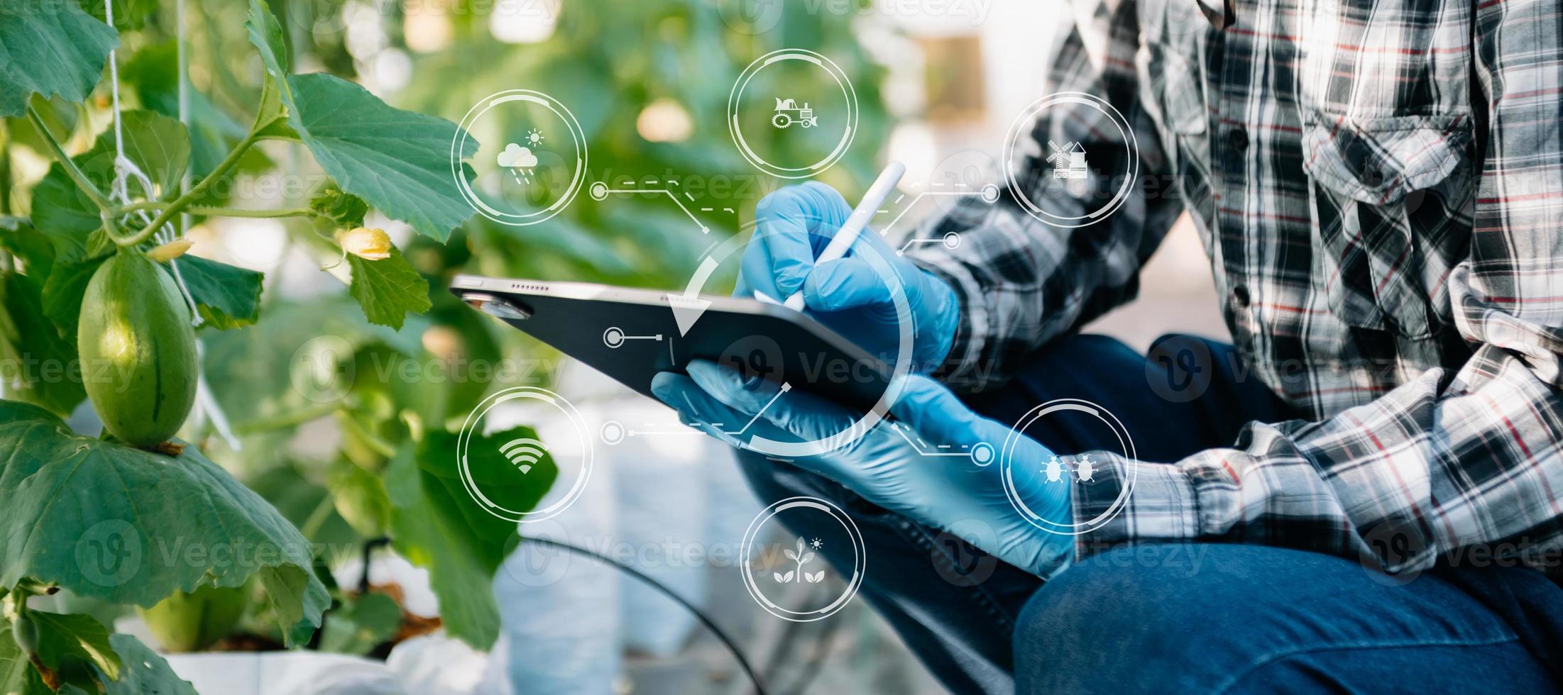 Smart farmer using application by tablet concepts modern vegetables and tomato at greenhouse. and visual icon. photo