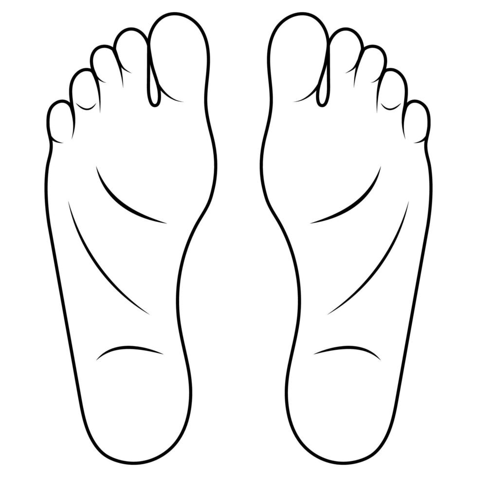 Man foot drawing cartoon, shoe size foot anatomy human sole 20426171