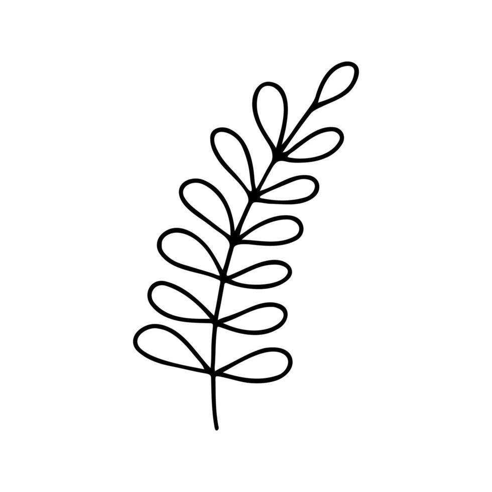 Hand drawn herbal, floral clipart. One line doodle vector