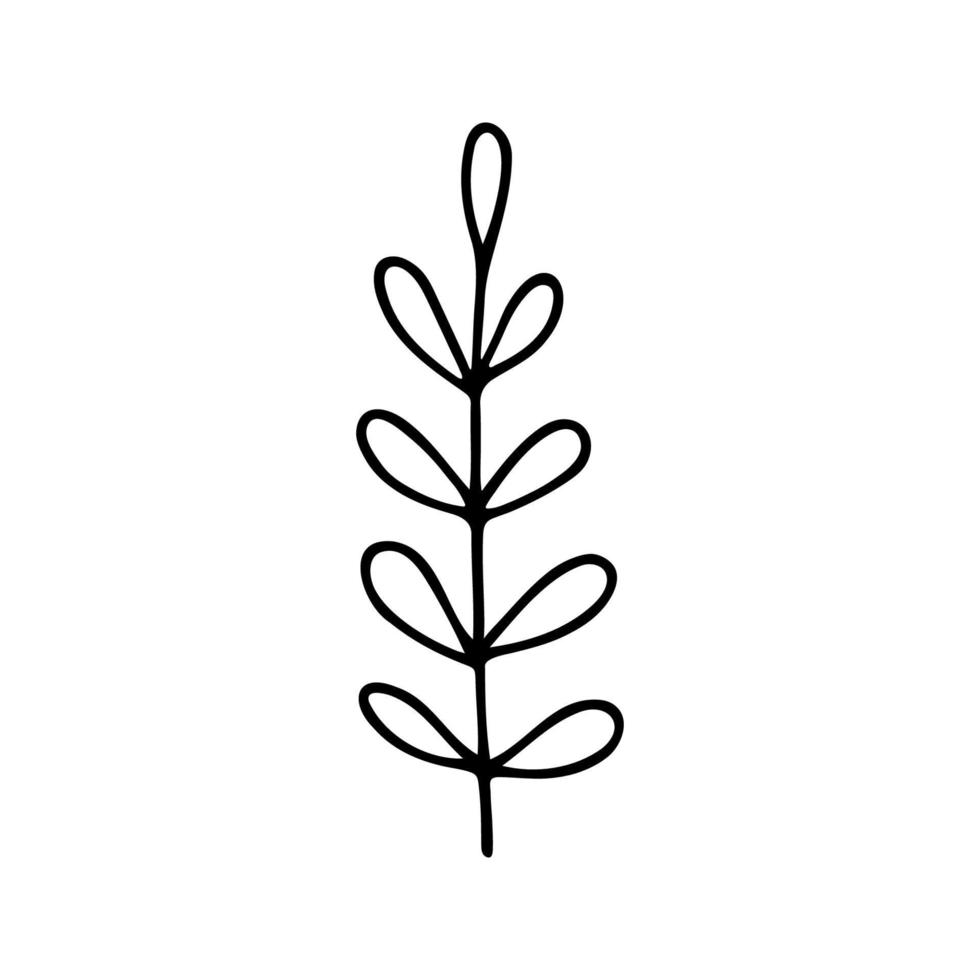 Hand drawn herbal, floral clipart. One line doodle vector