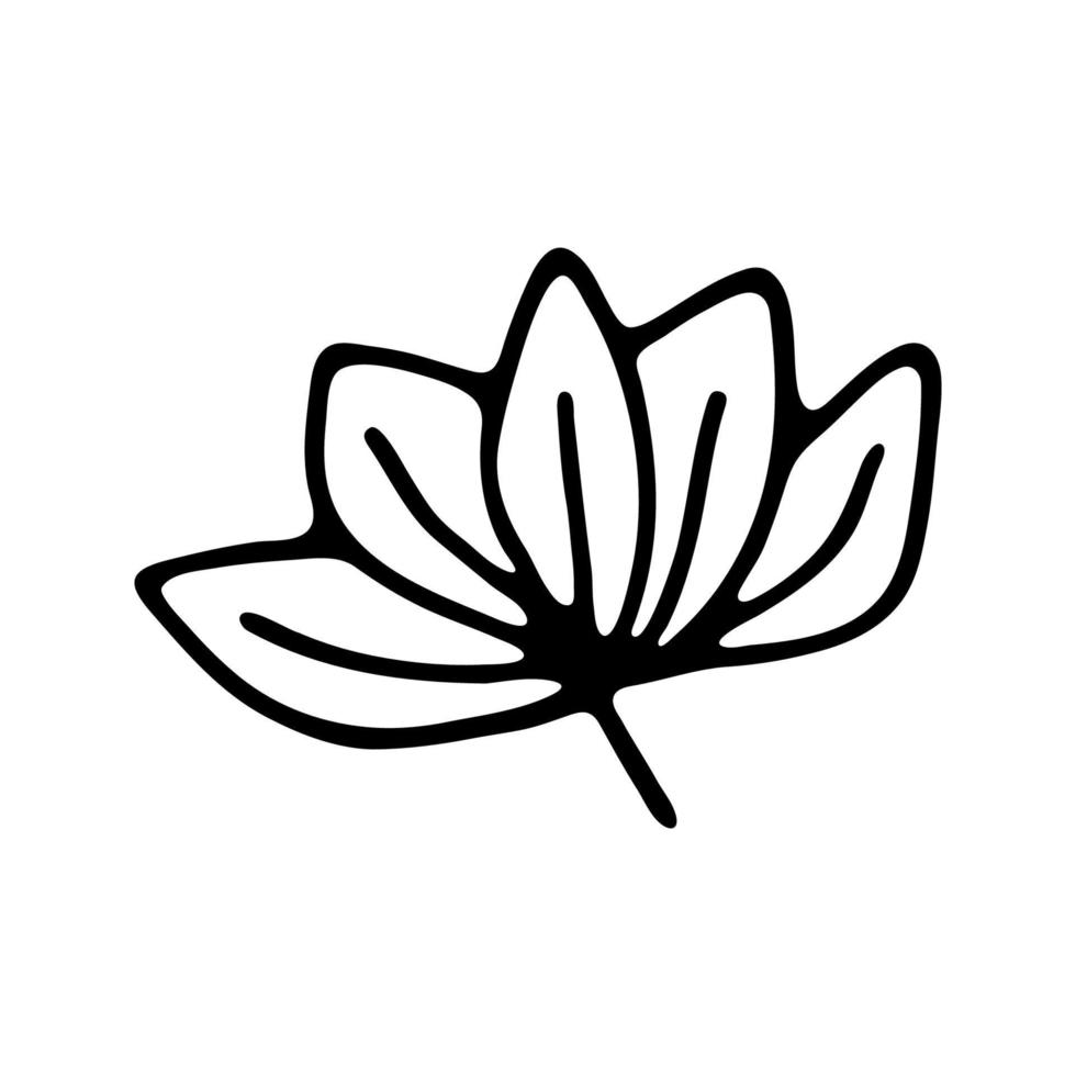 Hand drawn herbal, floral clipart. One line doodle vector