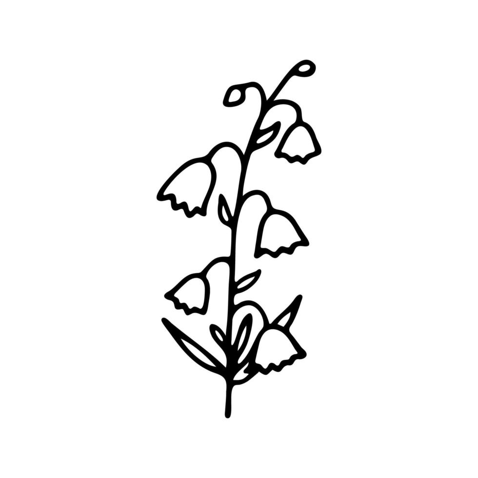 Hand drawn herbal, floral clipart. One line doodle vector