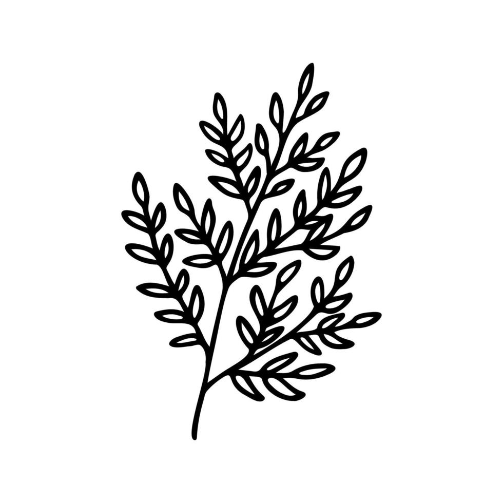 Hand drawn herbal, floral clipart. One line doodle vector