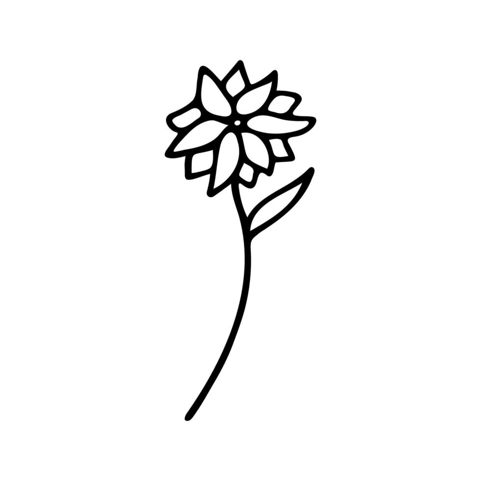 Hand drawn herbal, floral clipart. One line doodle vector