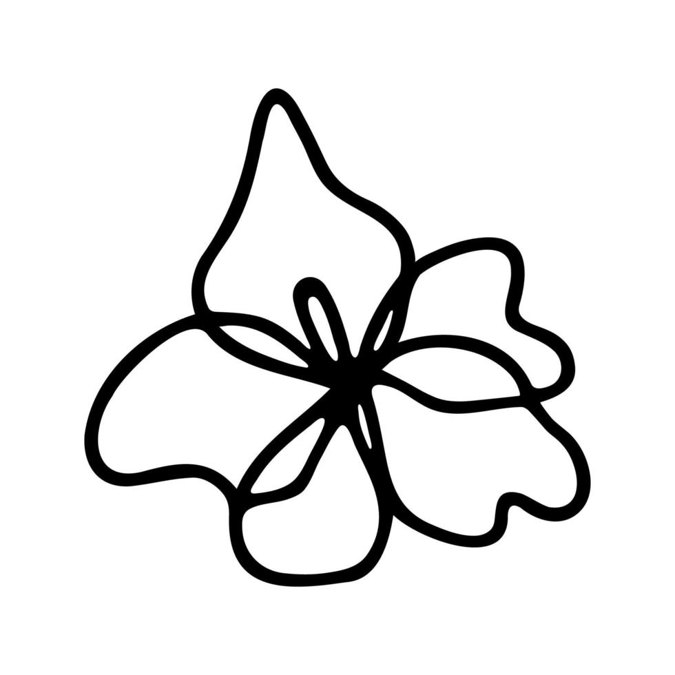 Hand drawn herbal, floral clipart. One line doodle vector