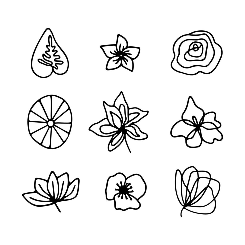 Hand drawn herbal, floral clipart collection. One line doodle vector set