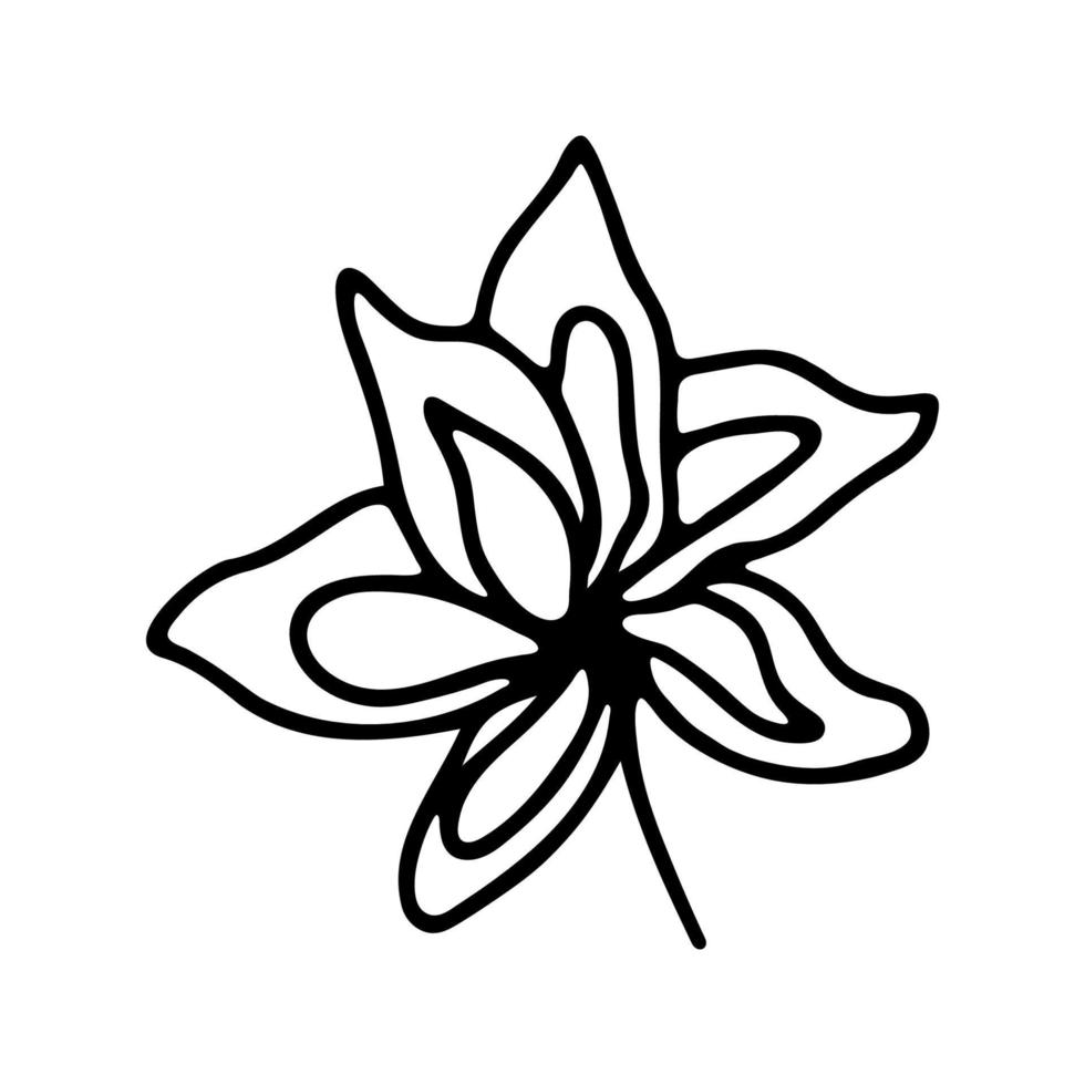 Hand drawn herbal, floral clipart. One line doodle vector