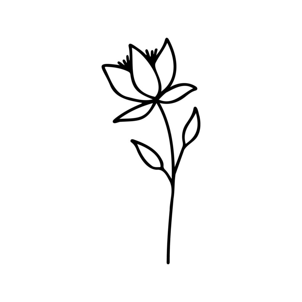 Hand drawn herbal, floral clipart. One line doodle vector