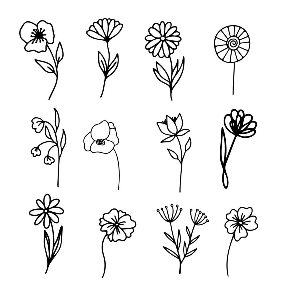 mano dibujado herbario, floral clipart recopilación. uno línea garabatear vector conjunto