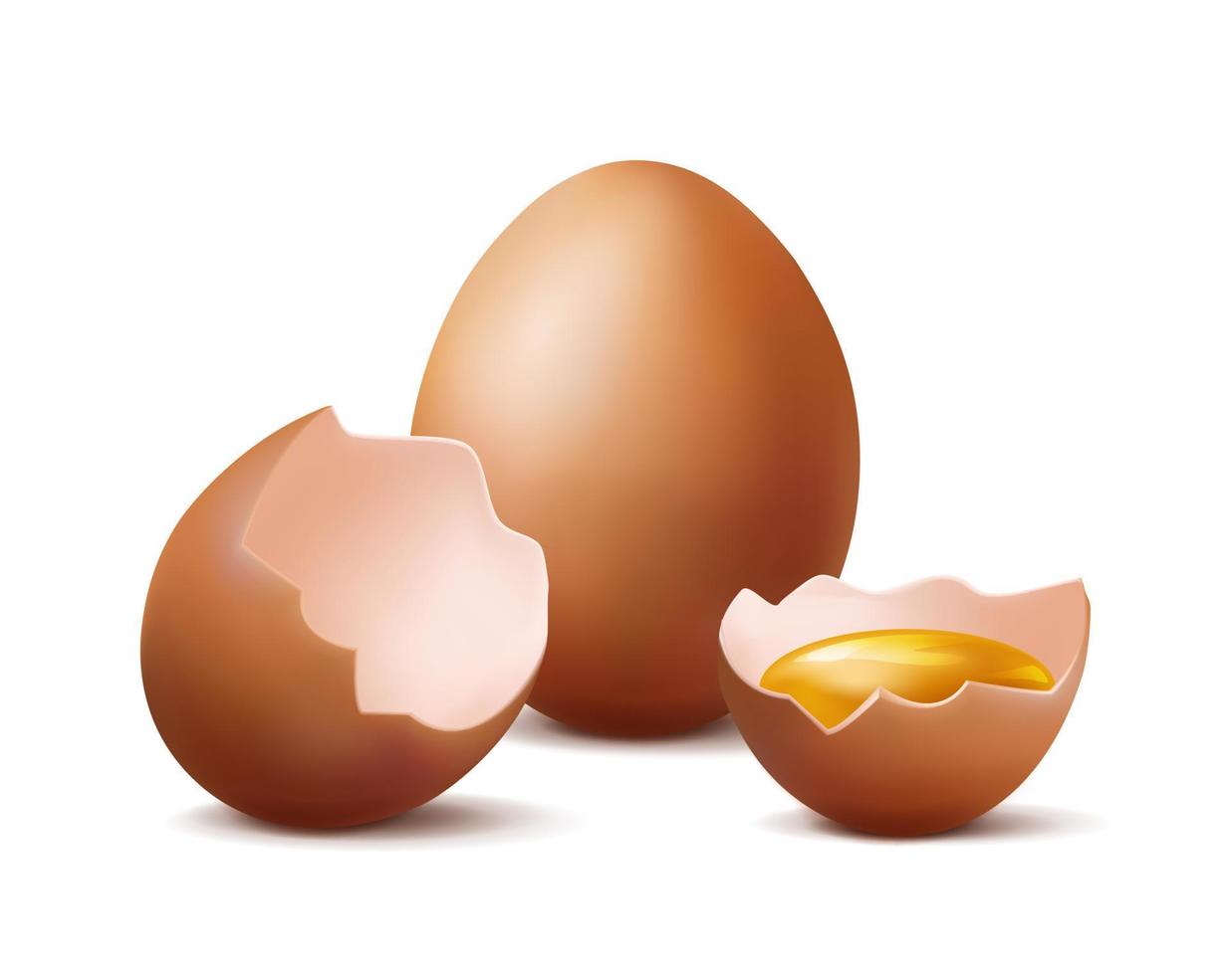 3d realistic vector icon illustration. Whole organic chicken egg and two halfs of broken egg with egg yolk inside. Isolated on white background.