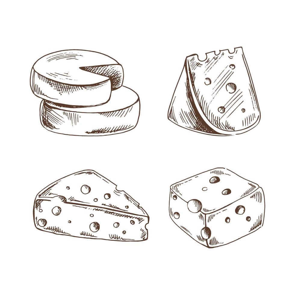 dibujado a mano lechería productos bosquejo colocar. varios tipos de queso, queso cabezas, holandés queso, piezas de queso. vector ilustración. negro y blanco Clásico dibujo.