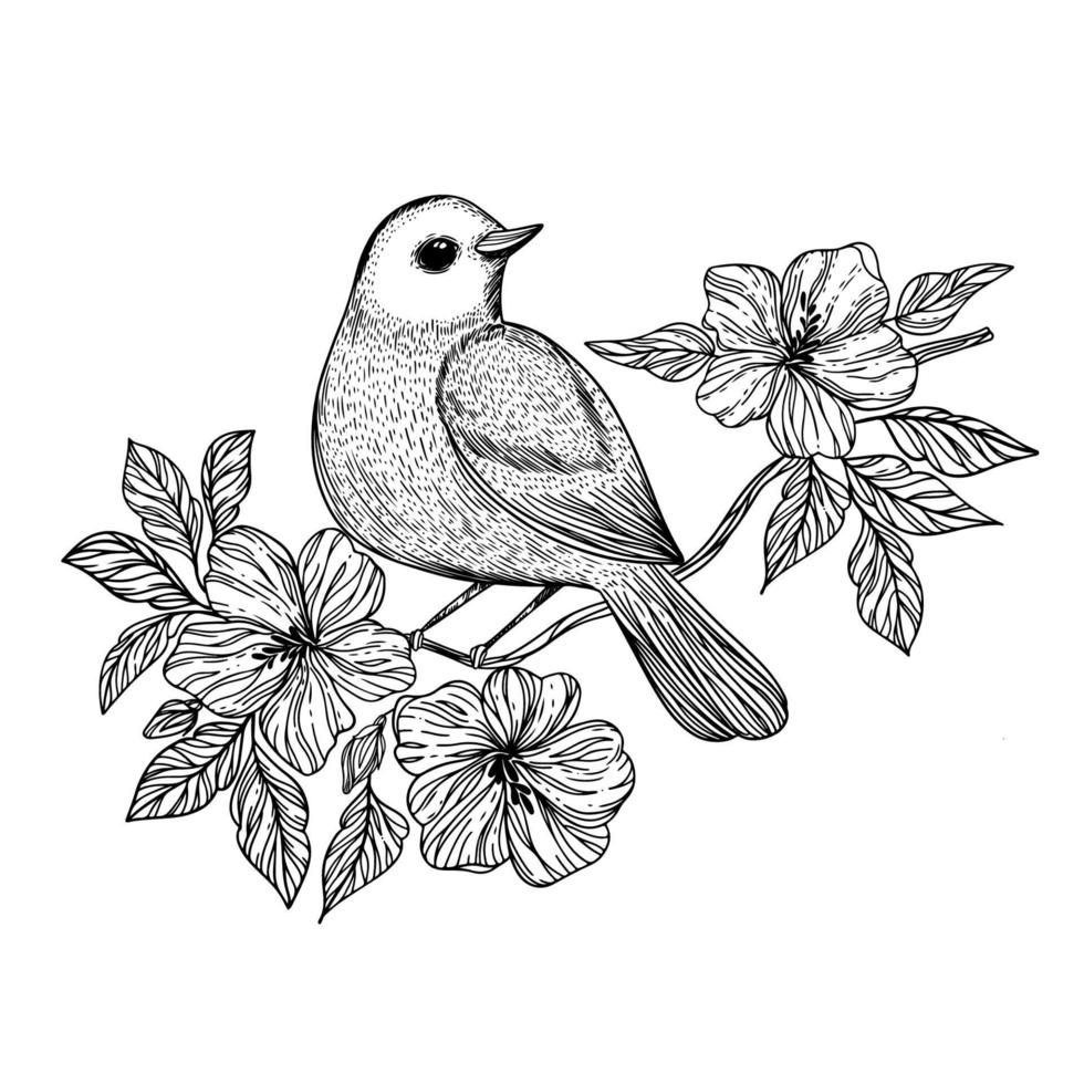 NIGHTINGALE Songbird On A Branch Vector Illustration Set