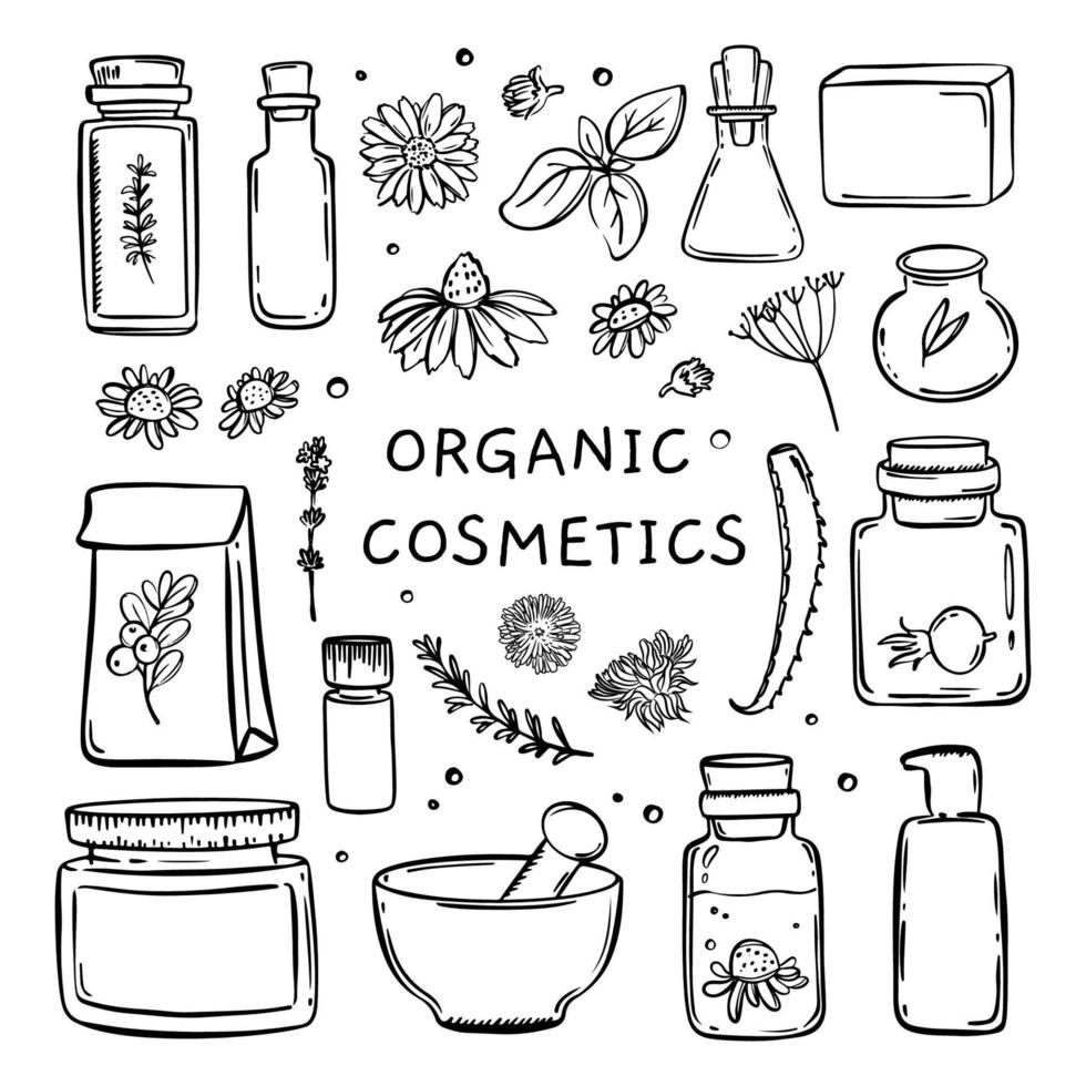 orgánico productos cosméticos monocromo mano dibujado vector colección