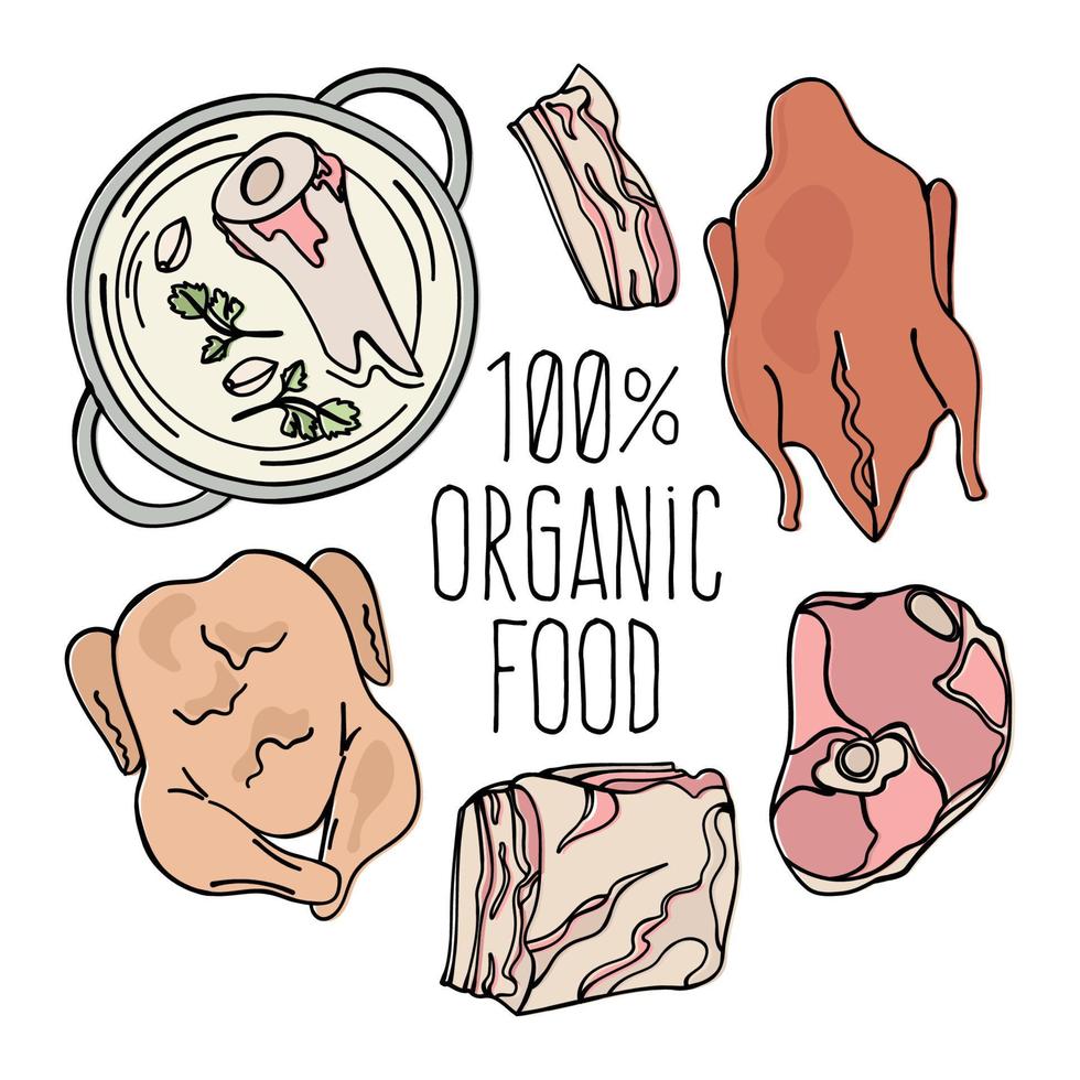 orgánico carne carnívoro natural comida vector ilustración conjunto