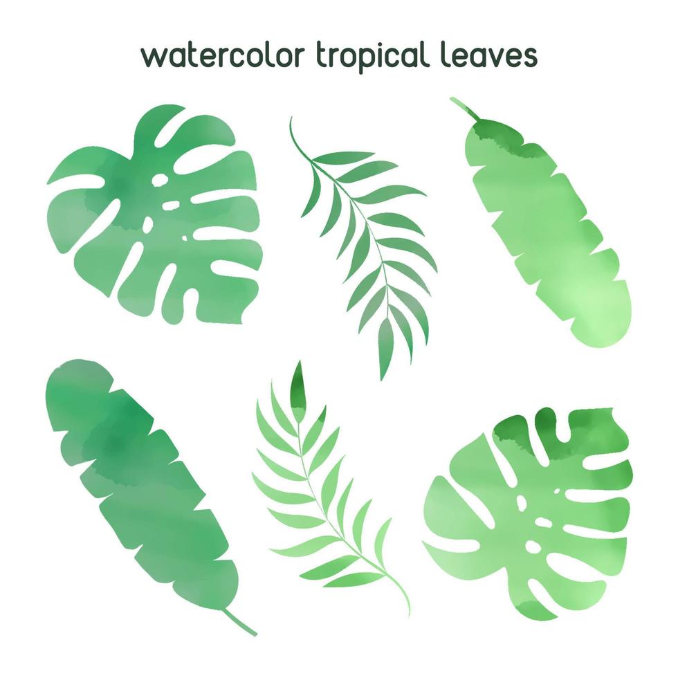 WATERCOLOR TROPICAL LEAF Abstract Plants Vector Illustration Set