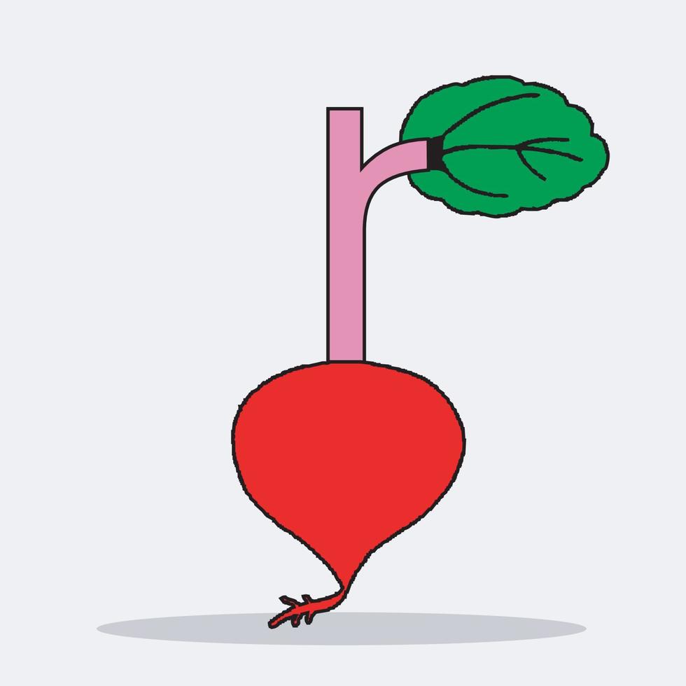 radish vector Free Vector