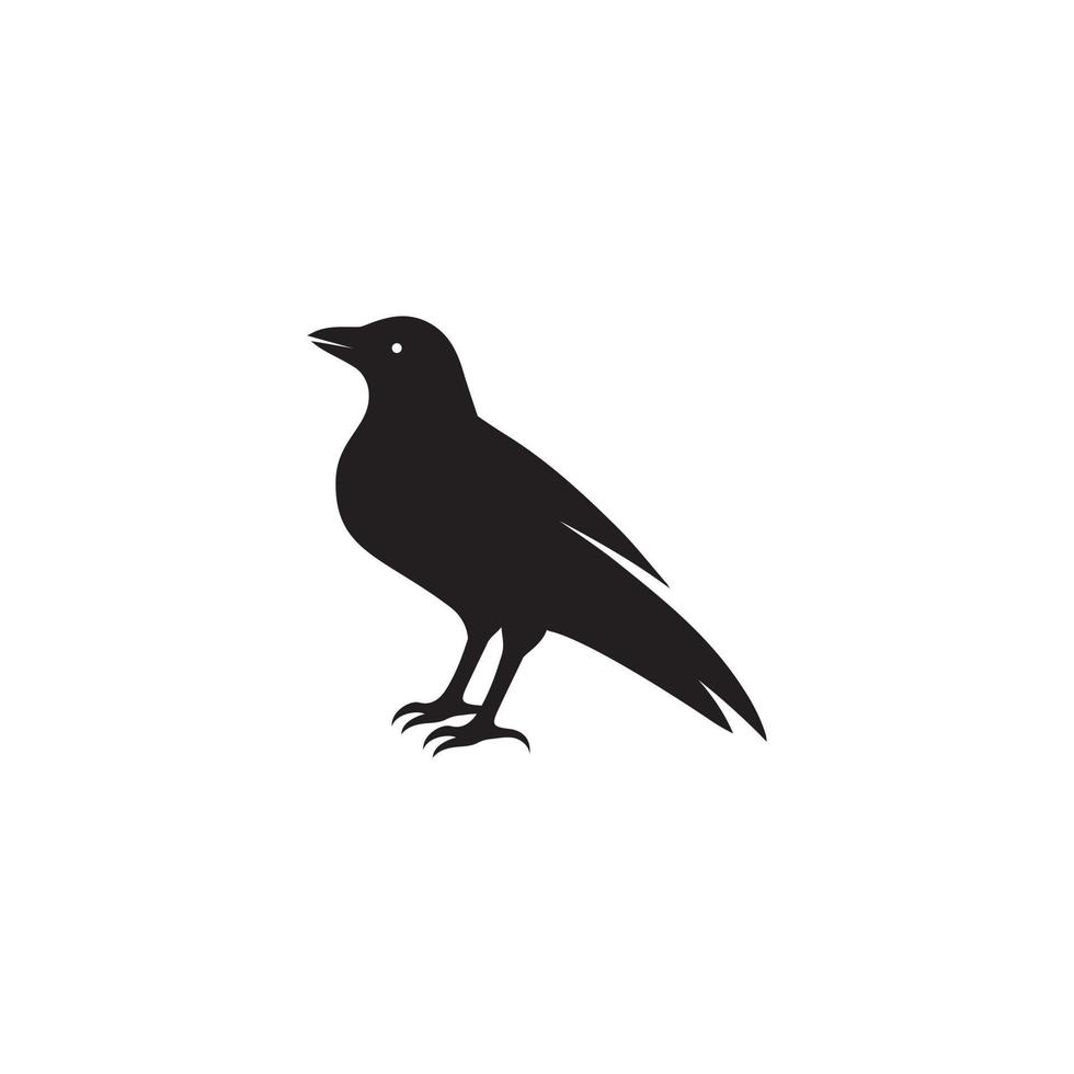 blackbird Crow icon logo design vector illustration isolated on white background.